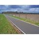 Grillage Prairie Medium 80 cm / 50M à Mouton