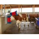 Brosse à Vaches de nettoyage HAPPYCOW DUO pour étable