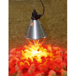 Ampoule Infrarouge 175 W Titan - Verre Dur, Pour Lampe Chauffante (poussins, Reptiles, Petits Animaux). Remplacement Idéal, Chauffage Efficace Et Sûr.