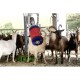 Brosse de nettoyage HAPPYCOW MiniSwing pour Veaux et Chèvres