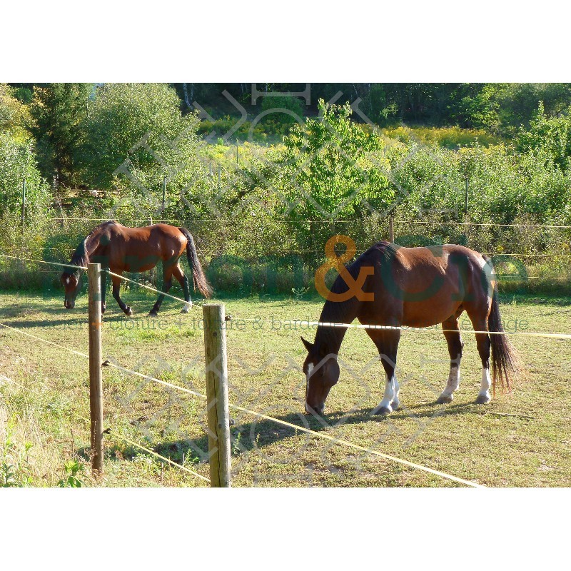 Lot De 2 Piquets De Clôture Bois Pin – Ø8cm X 240cm – TIMBERMIK – Poteaux Pointus Non Traités