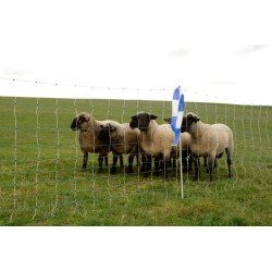 Ruban bleu pour filet de clôture mouton et sangliers 100m - KERBL