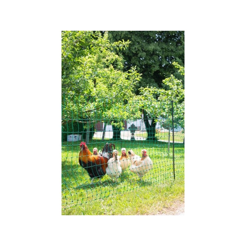 KERBL Filet pour les poules 25 m - 106 cm - double pointe - vert - non électrique