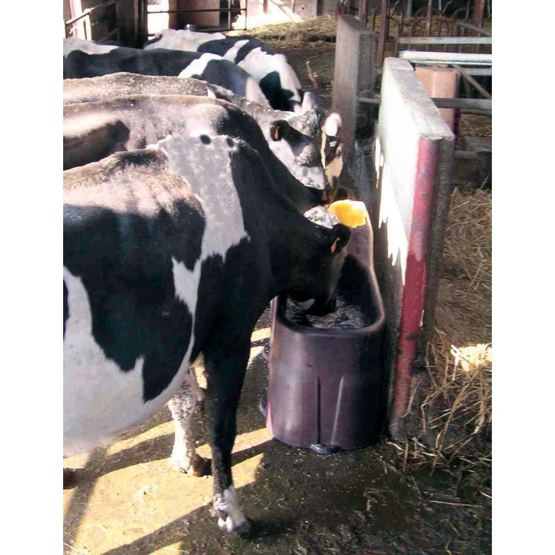 Abreuvoir Stabulation MULTI 220 pour vaches laitières