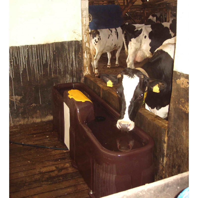 Abreuvoir Stabulation MULTI 220 pour vaches laitières