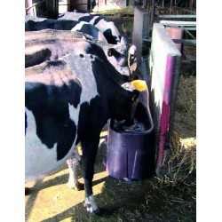 Abreuvoir Stabulation Antigel MULTI 220 EL pour vaches laitières