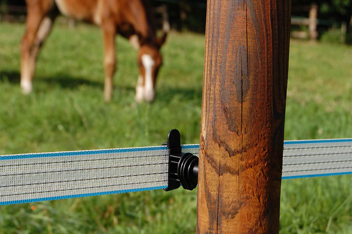 Connecteur Pour Ruban De Clôture Électrique - Acier Inoxydable, Fil Isolé 1m - Pour Chèvres, Moutons - 6